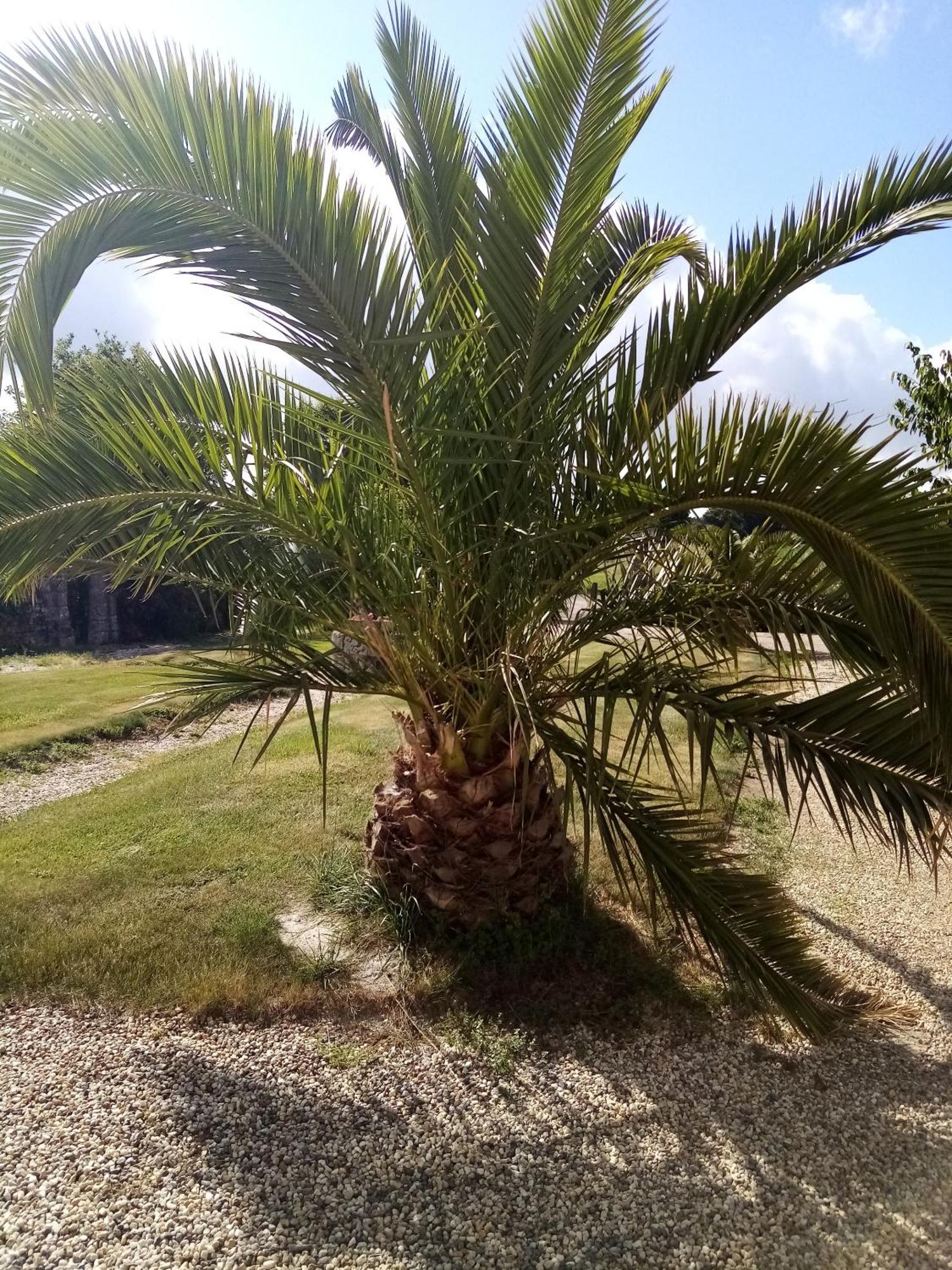 Domaine de launay blot, Proche MER Baguer-Morvan Chambre photo